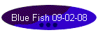 Blue Fish 09-02-08