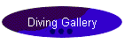 Diving Gallery